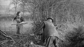 Hedging (1942)