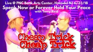 Cheap Trick - Speak Now or Forever Hold Your Peace w Terry Reid LIVE @ PNC Bank Arts Center
