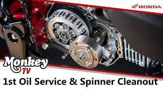 Monkey 125 First 600 Mile Oil Service & Oil Spinner clean-out - LONG VIDEO!
