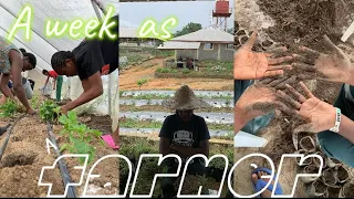 A week with me as a Farmer