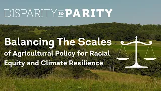 Disparity to Parity: Balancing the Scales
