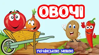 ОВОЧІ українською мовою для дітей