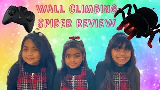 Remote Control Wall Climbing Spider Toy Review