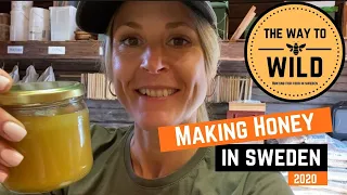 How to make honey - Making honey in Sweden 2020