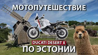 Мотопутешествие по Эстонии на Ducati DesertX. Остров Сааремаа и Альпаки.