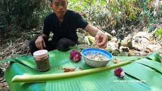 HÀNH TRÌNH ĐI RỪNG GIÀ • THĂM LẠI RỪNG XƯA VÀ NẤU ĂN GIỮA THIÊN NHIÊN | Nhịp Sống Thường Ngày