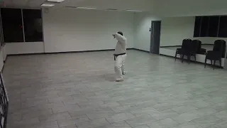 T.N.T. Ryu no Tate jutsu Chugoku no Chikara Himitsu Kata.