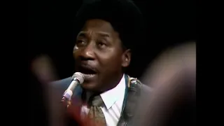 🎸 Blues Chronicles #27: Muddy Waters - Guitar History Lesson - Reverend Robert Jones