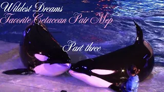 Wildest Dreams | Favorite Cetacean Pair mep //  closed 3/7