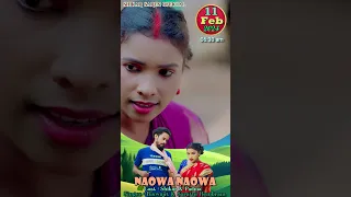 NAOWA NAOWA (Shorts) || New Santali Video Song 2024 || Biswajit & Sarathi Hembram || #shorts