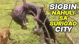 TOTOONG SIGBIN NAHULI SA SURIGAO CITY? | ALAGA DAW ITO NG MGA ASWANG | Kienn Thoughts