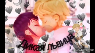 💖Леди баг и супер кот, клип /Дикая львица 💖