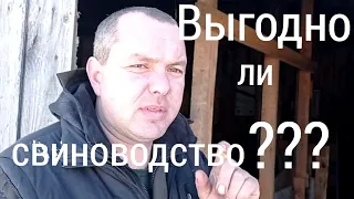 Беседа о выгоде свиноводства