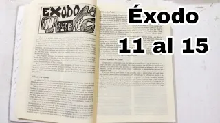 el libro de ÉXODO AUDIOLIBRO narrado completo