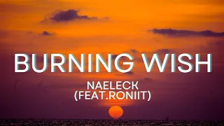 Naeleck - Burning Wish (feat.Roniit) | Sky Melodies