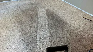 Really Dirty Carpet Cleaning!!! Heavy Soil!!!