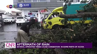 Aftermath of rain: Several uprooted trees cause congestion in some parts of Accra | Citi Newsroom