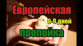 Европейская пропойка цыплят несушек и яичных пород кур 0-9 дней! Одобренная Российскими ветврачами