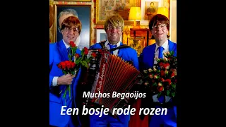 MUCHOS BEGAOIJOS - Een Bosje Rode Rozen ( Carnaval 2020 )  Officiële Videoclip