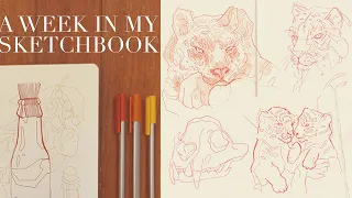 a week in my sketchbook // let's draw together chill art vlog