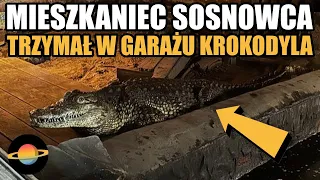 10 newsów tygodnia (7/05/2023) - mieszkaniec Sosnowca trzymał krokodyla w garażu