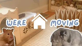 WERE MOVING ~ new pet room // 2 rabbits + hamster