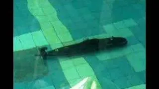 R/C submarine AKULA-II testing in swiming pool