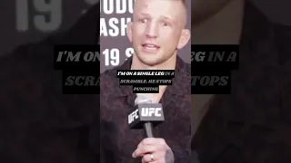 T.J. Dillashaw Not Accepting Defeat After Losing To Henry Cejudo