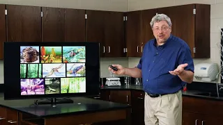 How was the Pre-Flood World Different from Our Own? - Dr. Kurt Wise, Devotional Biology