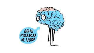 MOZEK – NEZkreslená věda VIII 🧠