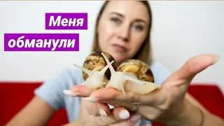 КАК МЕНЯ ОБМАНУЛИ С МОСКОВСКИМИ УЛИТКАМИ