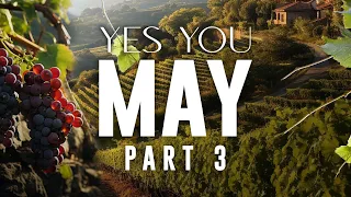 Yes You May - Part 3 | Pastor John Torrens