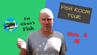 Full Fish Room Tour of Fat Glenn's Fish 2020