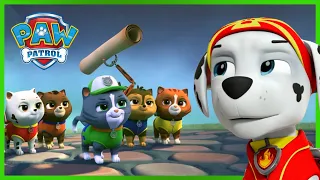 Pups Save a Secret Scroll! 📜 | PAW Patrol Rescue Episode | Cartoons for Kids!