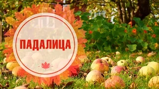 Яблоки как удобрение для почвы 🍎 ПАДАЛИЦА 🌱  сад огород c  хитсад