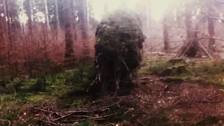 Strange creature in the woods? what is this?