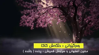 معين اصفهانى و سياوش قميشى پرنده kurdish subtitle