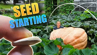 SEED STARTING | Giant Pumpkin Beginner Tips