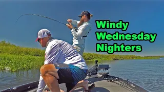 Windy Wednesday Nighters | BIG WEIGHTS to GET PAID