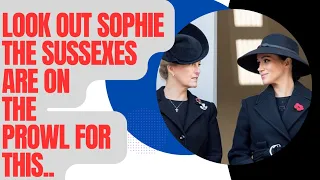 SOPHIE - CAN SHE REALLY WARD OFF THIS SUSSEX BATTLE? #royal #meghanandharry #duchessofedinburgh