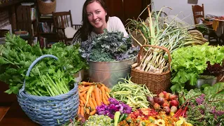 1/4 Acre Abundance | A BIG HARVEST from Our 1/4 Acre Homestead