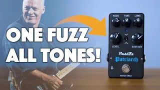 One Big Muff For Every Tone? | PastFx Patriarch For David Gilmour Tones