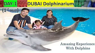 Dolphin Show in Dubai | Dubai Dolphinarium | Timings | Entry Ticket Price | Dubai tourist place