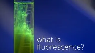 What is Fluorescence?