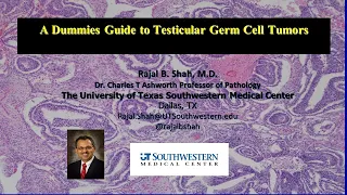 A Dummies Guide to Testicular Germ Cell Tumors