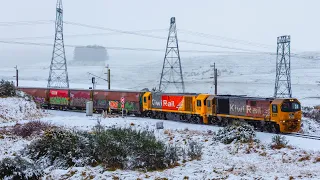 Trains Amidst a Winter Wonderland - KiwiRail on the Volcanic Plateau