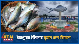 অনলাইনে বিক্রি হচ্ছে মাছ, ব্যবসায়ী সুযোগে পেতেছে প্রতারণার ফাঁদ | Chandpur | Online Hilsha Frauding