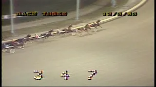 Roosevelt Raceway 1983- Dark Symbol A & Carmine Abbatiello