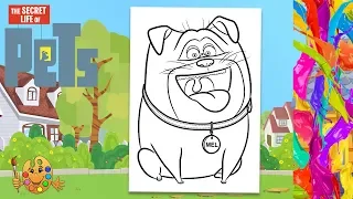 Coloring The Secret Life of Pets - Mel Coloring Book & Pages