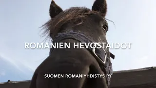 Romanien hevostaidot - Ylisukupolvista osaamista